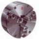 PLATO UNIVERSAL 3 PERROS 160 MM. 6.1/4"